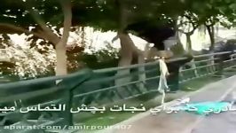 نجا ت بچه گربه داخل لوله وبغل کرد ن بچه گربه