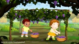 Grape Song  Learn Fruits for Kids  Original Educational Fruits Songs Nursery Rhymes by ChuChu TV
