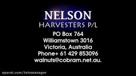 Citrus harvesting in Australia with a Nelson Harvester