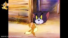 Tom And Jerry English Episodes  Fine Feathered Friend  Cartoons For Kids