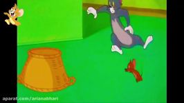 Tom And Jerry English Episodes  Busy Buddies  Cartoons For Kids