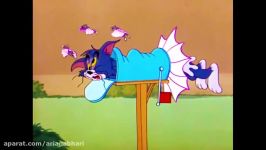 Tom And Jerry English Episodes  Flying Cat  Cartoons For Kids