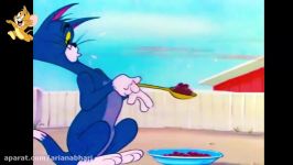 Tom And Jerry English Episodes  Southbound Duckling  Cartoons For Kids