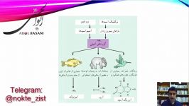 بررسی تست زیست شناسی کنکور تجربی 91داخل کشور،دفع مواد