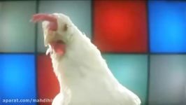 Chicken song   Geco Remix