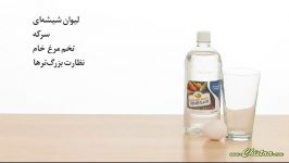 تخم مرغ لاستیکی