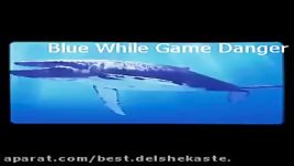 Blue Whale Challenge Music Song 258 آهنگ غمگین بازی نهنگ آبی