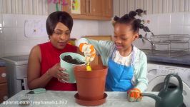 CBeebies  How To Grow Carrots  Down On The Farm