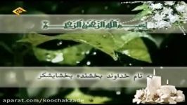 تلاوت سوره مبارکه تکاثر + ترجمه فارسی  قاری شحات محمد انور