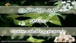 تلاوت سوره مبارکه اعلی + ترجمه فارسی  قاری شحات محمد انور