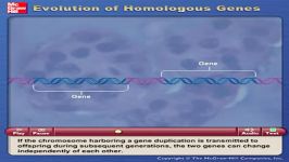 G01 homolog genes