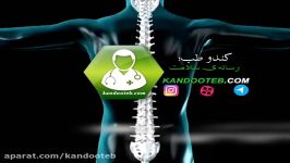 انیمیشنی کوتاه ببینید نحوه عملکرد ستون فقرات.