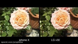 iphone X vs LG v30 Camera Comparison