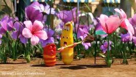 Cancan  Larva Season 3 Episode 30