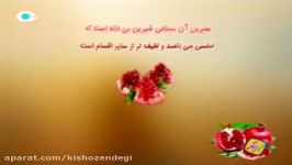 كیش زندگی  خواص انار در طب سنتی  خوراكیها