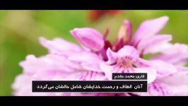 و صابران را مژده بده