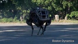 معرفی ربات WildCat شرکت Boston Dynamics
