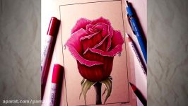 طراحی گل رز قرمز مدادرنگی به صورت حرفه ای پارس آتیک