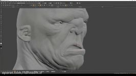 آموزش Texturing پوست کاراکترها بوسیله نرم افزار Mari