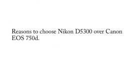 Nikon D5300 vs Canon EOS 750DRebel T6i  Nikon D5300  Canon Rebel T6i 