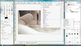 برنامه ویرایش عکس رایگان گیمپ Gimp درس 83 فیلتر دکور Decor filter