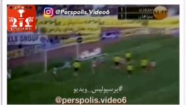 گلهای مهرزاد معدنچی در پرسپولیس