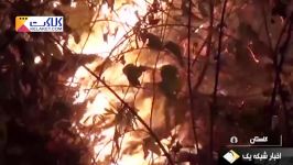 آخرین اخبار آتش سوزی در جنگل های گلستان