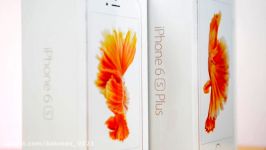 iPhone 6s vs iPhone 6s Plus Rose Gold  Dual Unboxing