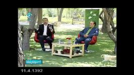 بازیگوشی گربه ها در سیمای خانواده