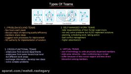 Types of Teams  Organisational Behavior  MeanThat