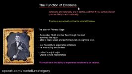 Function Of Emotions  Organisational Behavior  MeanThat