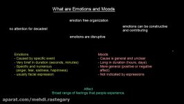 What are Emotions and Moods  Organisational Behavior  MeanThat