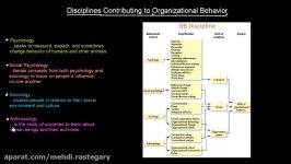 Disciplines Contributing To OB  Organisational Behavior  MeanThat