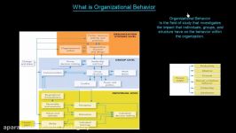 What Is Organisational Behavior  Organisational Behavior  MeanThat