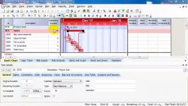 primavera risk analysis مخفی کردن ستون های صفر