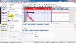 primavera risk analysis ایجاد فیلتر