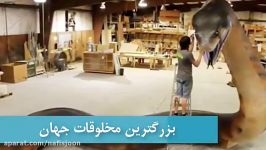 بزرگ ترین مخلوقات زنده کره زمین