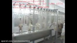 Rasti.ir فرآوری پای مرغchicken paw peeling machine