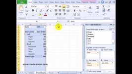 Connect Slicers to Multiple Excel 2010 Pivot Tables