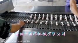 فرآوری پای مرغ Rasti.ir    chicken feet equipment