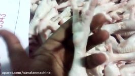 Chicken Feet Processing ROX   Rasti.ir فرآوری پای مرغ