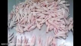 chicken feet for sale فرآوری پای مرغ Rasti.ir    .