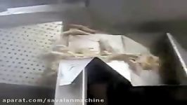 فرآوری پای مرغ Rasti.ir chicken feet blanching machine