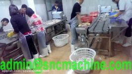 Chicken feet Cutting     Rasti.ir فرآوری پای مرغ