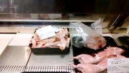 Westside Market Chicken Feet and Rabbit.mp4