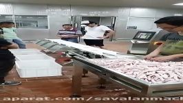 chicken feet weight sorting machine