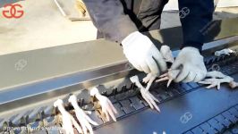 Chicken Feet Cutting Machine