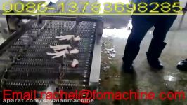 Rasti.ir     پامرغ  chicken feet cutting machine