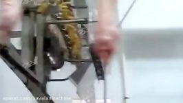 Rasti.ir ماشین فرآوری پای Chicken Feet Peeling Machine