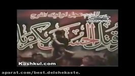 یاحسین غریب مادر مرحوم سید جواد ذاکر